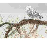 Cobble Hill - Puzzle Gufo delle nevi del salice caduto - 500 Pezzi