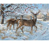 Cobble Hill - Puzzle Persis Clayton Weirs - Winter Deer - 500 Pezzi