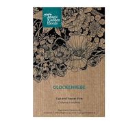 Cobea (Cobaea scandens) 5 semi campanula rampicante tropicale annuale