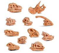 cobee Mini Scheletro di Testa di Dinosauro, 11PCS Dino Bones Playset Figurine di fossili di Dinosauro per Sandbox Figure di Testa di Dinosauro Modello di Teschio di Dinosauro Decorazioni Bomboniere