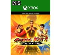 Cobra Kai 2: Dojos Rising XBOX LIVE Key EUROPE