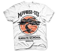 Cobra Kai Licenza Ufficiale Miyagi-Do Karate School Uomo Maglietta (Heather Grigio)