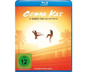 Cobra Kai - Staffel 1