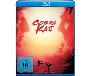 Cobra Kai - Staffel 2