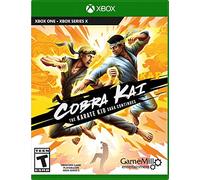 Cobra Kai: The Karate Kid Saga Continues