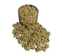 Coccarde Stelle Fiocchi adesive Barattolo 100 Pezzi Colore ORO Metallico Diametro 2,5 CM Adesivo 1 CM