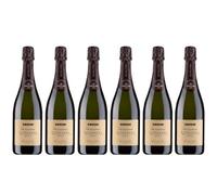 COCCHI TOTOCORDE Alta Langa DOCG Brut millesimato - Metodo Classico - 13% in Vol. - 6 Bottiglie da 0.75 Lt - Grandi Vini dell'Alta Langa -
