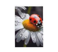Coccinella su margherita Fiore Benvenuto Giardino Bandiera 2x3 Ft Double Sided No Fade House Yard Bandiere Foto Sfondo Festa Banner Per Cortile Portico Prato Decorazione Esterna