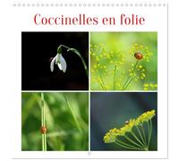 Coccinelles en folie (Calendrier mural carré 2026 30x30 cm) Calendrier double avec une page pour vos prises de notes: Apprenez tout sur les ... les passionnés de nature et les familles !