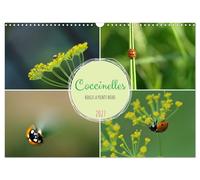 Coccinelles rouges à points noirs (Calendrier mural 2027 DIN A3 vertical), CALVE