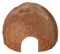 Cocco metà guscio ø 8/10/12 cm
