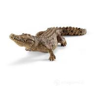 COCCODRILLO