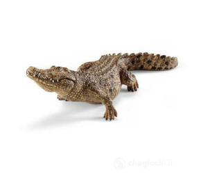 COCCODRILLO