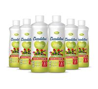 COCCOLATEVI Profumatore Bucato, Essenza Bucato da utilizzare come Profumatore Bucato Lavatrice e Asciugatrice, Profumatore Casa o Detergente Pavimento (300 ml (Confezione da 6), Primavera)
