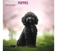 Cockapoo Cuccioli Calendario 2026