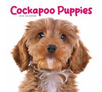 Cockapoo Puppies Square Mini Calendar 20