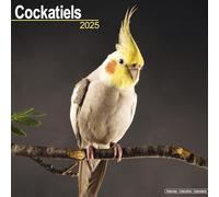 Cockatiels 2025 Square Wall Calendar | Bird, Parrot Calendar