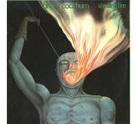 Cockburn, Bruce - Stealing Fire [Import]