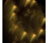 Cocker, Jarvis - Music From Likely Stories