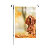 Cocker Spaniel Autumn Park Brown Spaniel Dogs,Bandiera da giardino per esterni e interni, stendardo decorativo bifacciale 30x45 cm