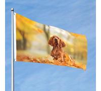 Cocker Spaniel Autumn Park Brown Spaniel Dogs bandiere 3ft x 2ft con occhielli, aste per bandiere da giardino personalizzate