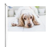 Cocker Spaniel Brown Spaniel Cani tristi Cani Animali domestici,Bandiera da giardino, bandiera decorativa da cortile, bandiera bifacciale, 2x3 piedi, per esterni e interni