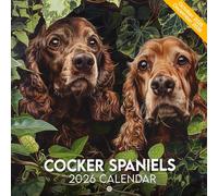 Cocker Spaniels Calendar 2026: Floppy Ears and Loyal Hearts in Every Monthly Moment
