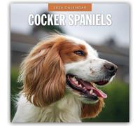 Cocker Spaniels - Cocker Spaniel 2026 - 16-Monatskalender: Original Red Robin Publishing Ltd-Kalender [Mehrsprachig] [Kalender]