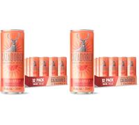 Cocktail Paloma CAZADORES pronto da bere, senza glutine e con aromi naturali, 5% ABV, 12 x 25cl / 250ml (Confezione da 2)