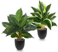Coco Berming Set di 2 Piante Artificiali da Interno in Vaso, 39cm Piante Verdi Artificiali Decorative da Tavolo in Plastica per Soggiorno, Ufficio, Casa (Bordo bianco + Tinta unita)
