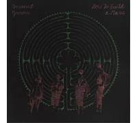 Cocoanut Groove How to Build a Maze (Vinyl LP) 12" Album