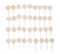 Cocoarm 36pcs Watch Me Grow Succulent Tags Engraved 3D Effect Wooden Plant Labels for Potted Plants Garden Decoration for Plant Lovers