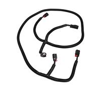 Cocoarm Cablaggio Assist Cablaggio ABS Rear Assist 68031820AA Sostituzione Plug and Play per 1500 Dal 2009 Al 2019 2500 3500 Dal 2010 Al 2018