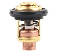 Cocoarm Comprensione della Valvola Termostatica 6E5-12411-30 per i Motori della Barca, Facile Installare, Adatto per 9.9-250 per Fuoribordo