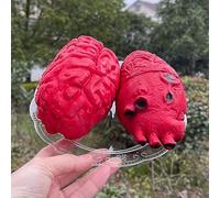 Cocoarm Cuore di Halloween Cervello Prop Plastica Morbida Organo di Halloween Prop 18 X 10 Cm e 17 X 10 Cm Realizzato a Mano Alta Simulazione per Decorazioni da Tavola per Feste di Interni Ed Esterni