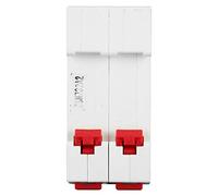 Cocoarm Interruttore Automatico Miniaturizzato CC, Interruttore Automatico CC PA66 2P 32A DC1000V 6000A Montaggio su Guida DIN con Estinzione dell' Magnetico per Solare Fotovoltaico EV per Barche
