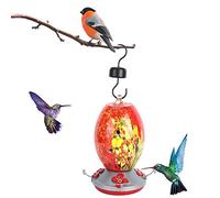 Cocoarm Mangiatoia in Vetro per colibrì, Mangiatoia per Uccelli 21 X 10 X 11 Cm con Gancio per Appenderla, Posatoio di Riposo e Barriera Anti-formiche, Resistente Alle Perdite, Design (Q1)