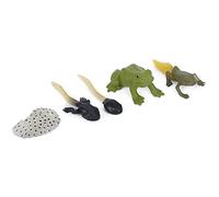 Cocoarm Ranidae Modello di Ciclo di Crescita Animale Giocattolo di Simulazione delle Fasi del Ciclo per L'Apprendimento dei Bambini con 5 Fasi Dettagliate Educativo in Plastica
