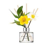 Cocodor Daffodil Diffuser 200 ml (6.7 oz) English Pearfree