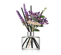 Cocodor Reed Diffuser/Lavanda/diffusore di fragranza per Ambienti/con Fiori Veri preservati e Artificial Lavanda / 200ml (Pure Cotton, 200 ml)