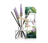 Cocodor Reed Diffuser/Lavanda/diffusore di fragranza per Ambienti/con Fiori Veri preservati e Artificial Lavanda / 120ml / Pure Cotton