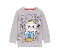 CoComelon Felpa Bambini Bambini Bambini Caratteri Animali Grigio Jumper 2-3 Anni