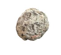 Coconut Geode Messico chiuso da rompere | Geode della fortuna | Break your own | 44 milioni di anni (60 mm)