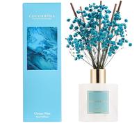 COCORRÍNA Diffusore Profumo Ambiente, 200ml Diffusore Profumato Ocean Mist con Bastoncini Diffusore di Olio Essenziale di Fragranza per la Casa per la Decorazione della Mensola del Bagno