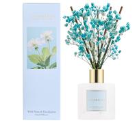 COCORRÍNA Diffusore Profumo Ambiente, 200ml Diffusore Profumato Wild Mint & Eucalyptus con Bastoncini Diffusore di Olio Essenziale di Fragranza per la Casa per la Decorazione della Mensola del Bagno