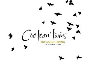 Cocteau Twins - Treasure Hiding: The Fontana Years