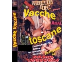 COD141 - VACCHE TOSCANE - FOCOSA ... UN MONUMENTO DI CARNE !