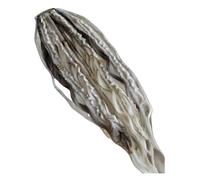 Coda di cavallo elastica con dreadlock, extension per capelli stile boho con perline, facile da applicare in un minuto grazie all'elastico, leggera, disponibile in diversi colori (bianco)