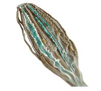 Coda di cavallo elastica con dreadlock, extension per capelli stile boho con perline, facile da applicare in un minuto grazie all'elastico, leggera, disponibile in diversi colori (verde chiaro)