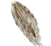 Coda di cavallo elastica con dreadlock, extension per capelli stile boho con perline, facile da applicare in un minuto grazie all'elastico, leggera, disponibile in diversi colori (bianco)